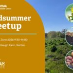 Suffolk Wildlife Trust - Mid-Summer Meetup