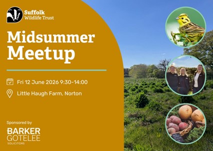 Suffolk Wildlife Trust - Mid-Summer Meetup